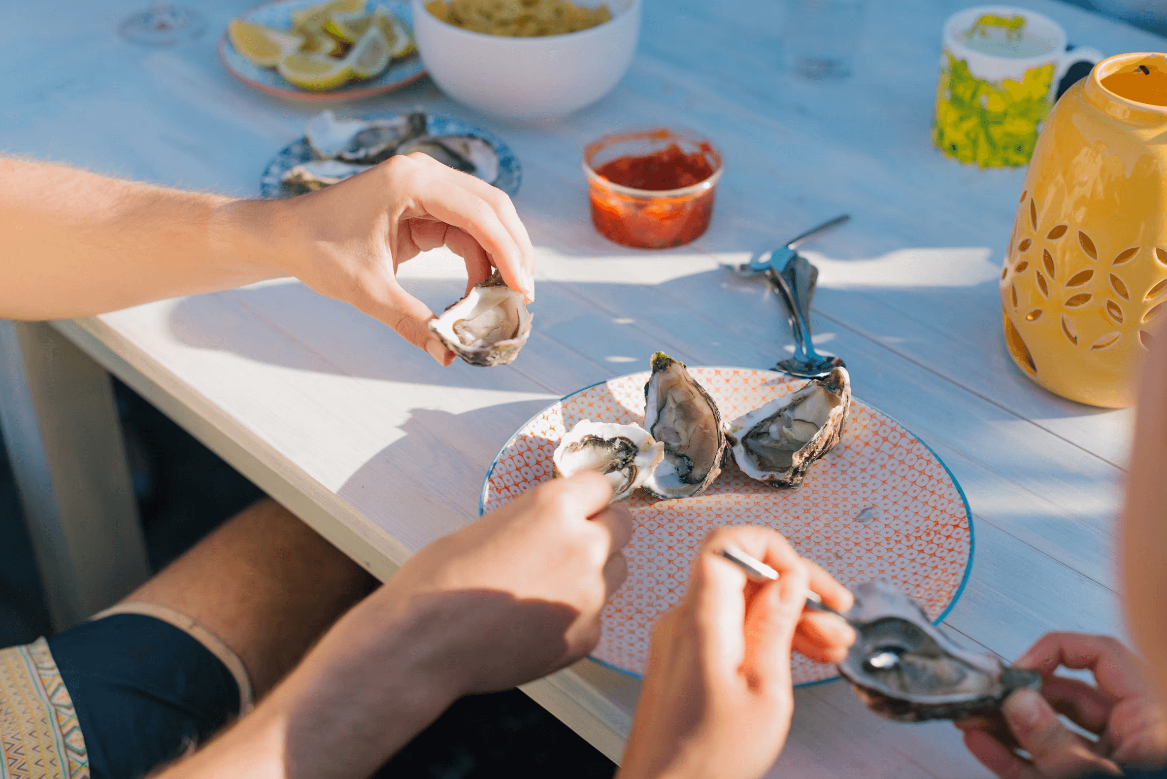 Oysters tasting