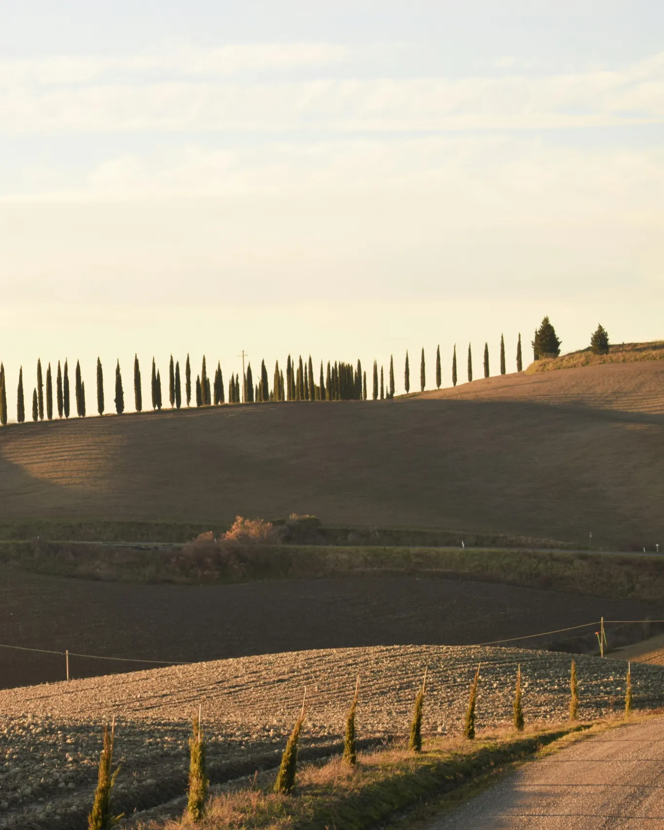 Val d'Orcia at first light